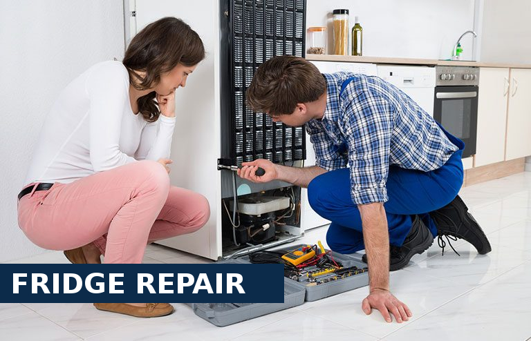 Fridge Repair Elm Park
